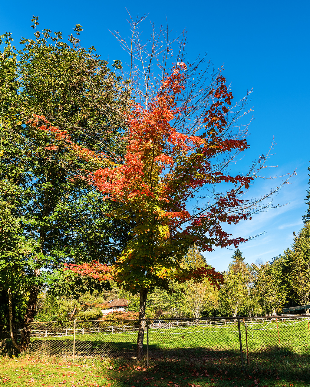 Autumn colors begin