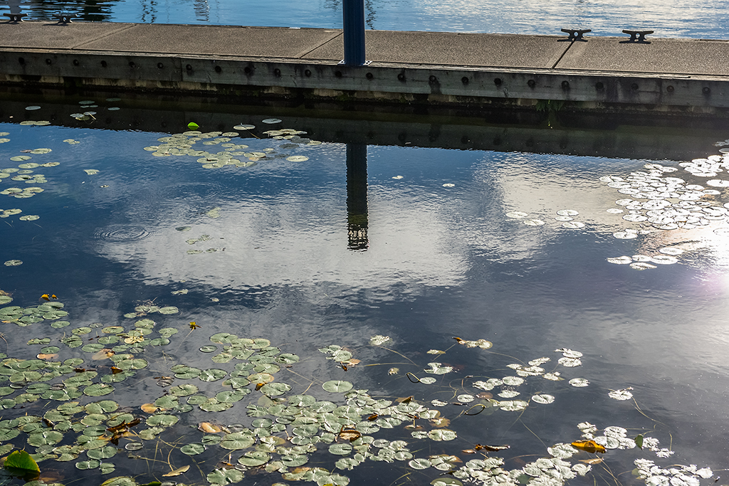 Nice Kirkland Reflection