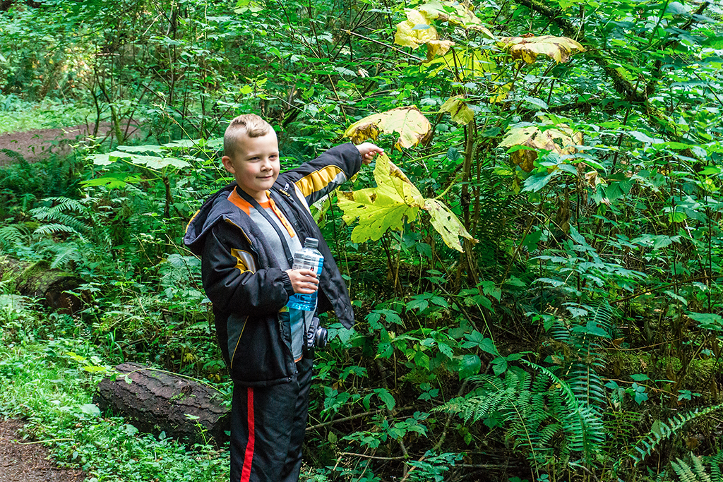 Lucius at Redmond Watershed