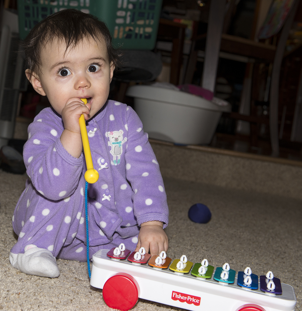 Roxy eating xylophone