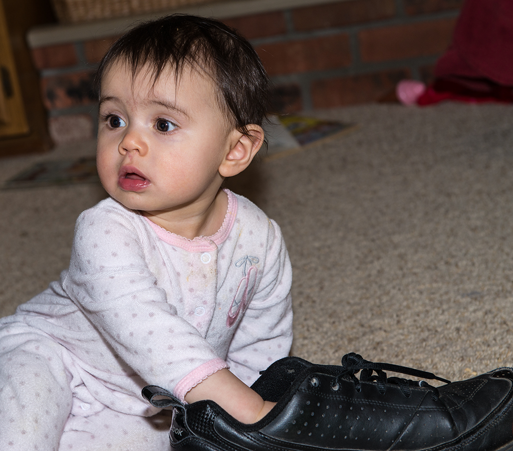 Roxy with Grandpa's smelly shoe