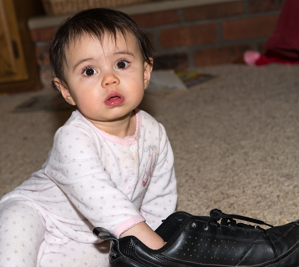 Roxy with Grandpa's smelly shoe