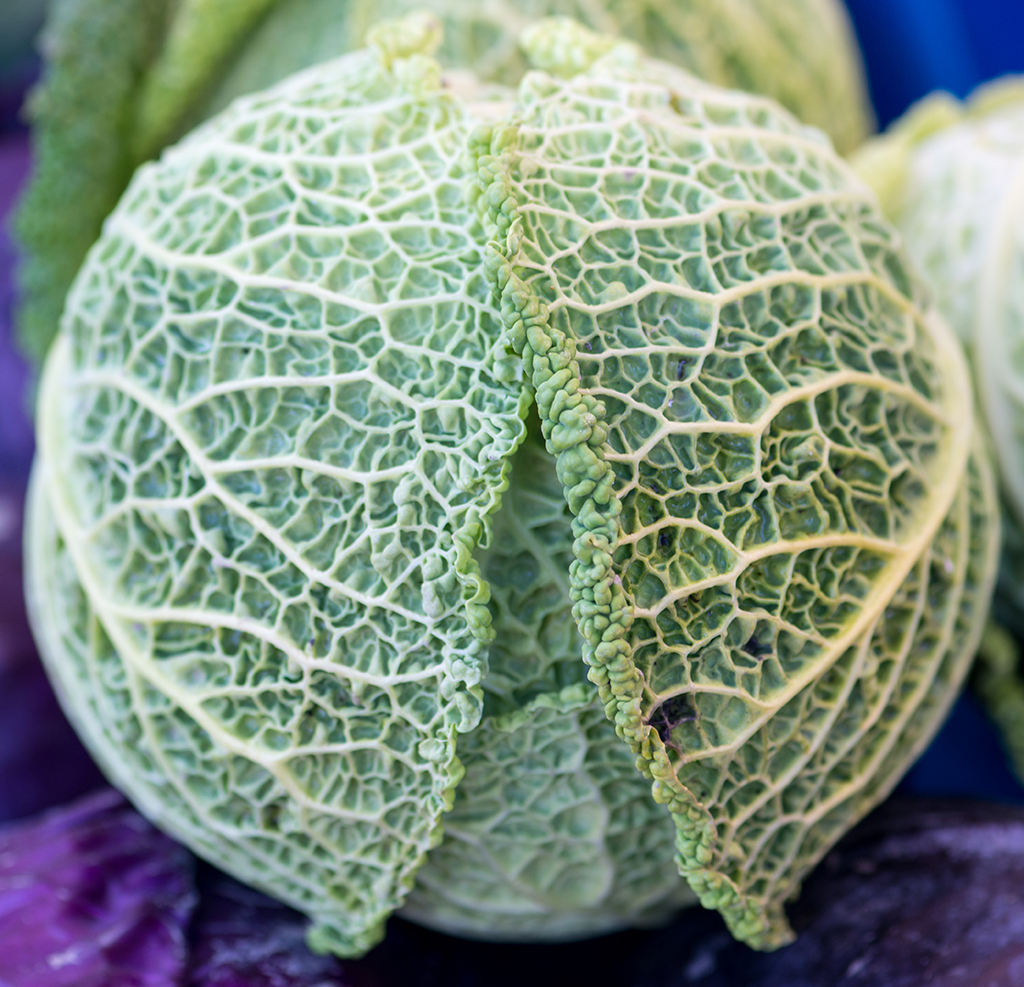 Cabbage at farmer's market