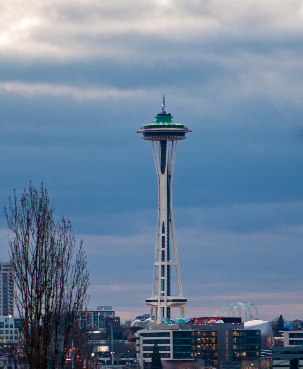 Space Needle from the weeds