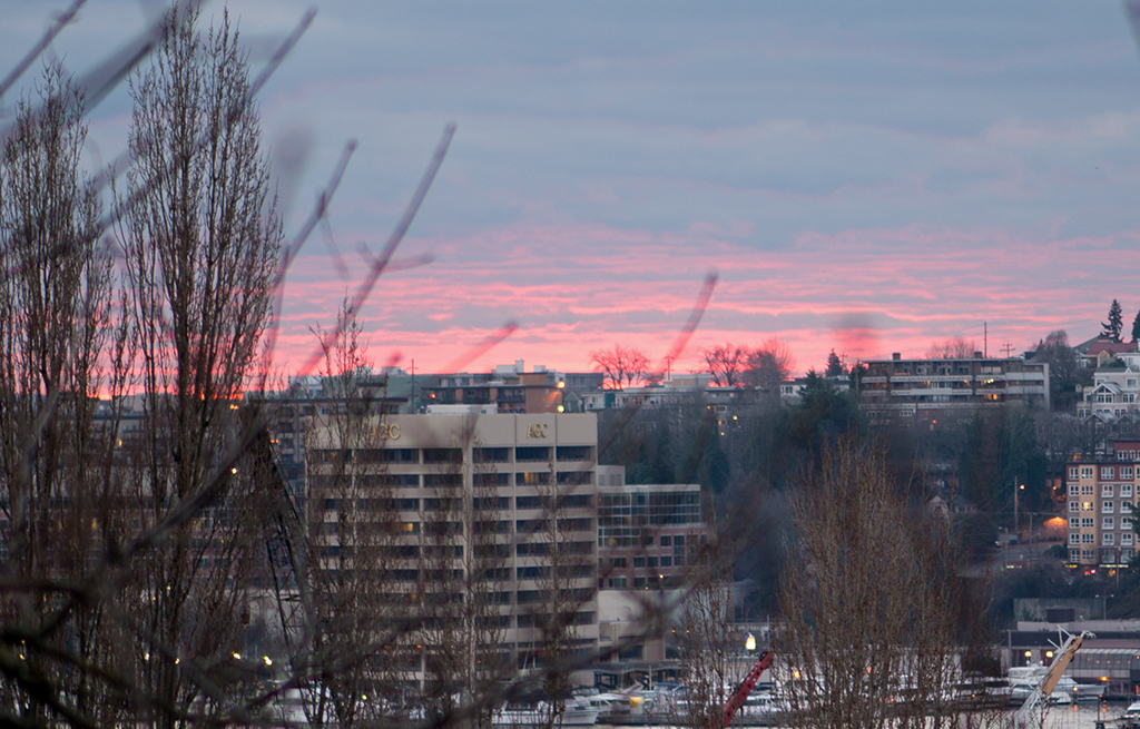 Sunset from the weeds