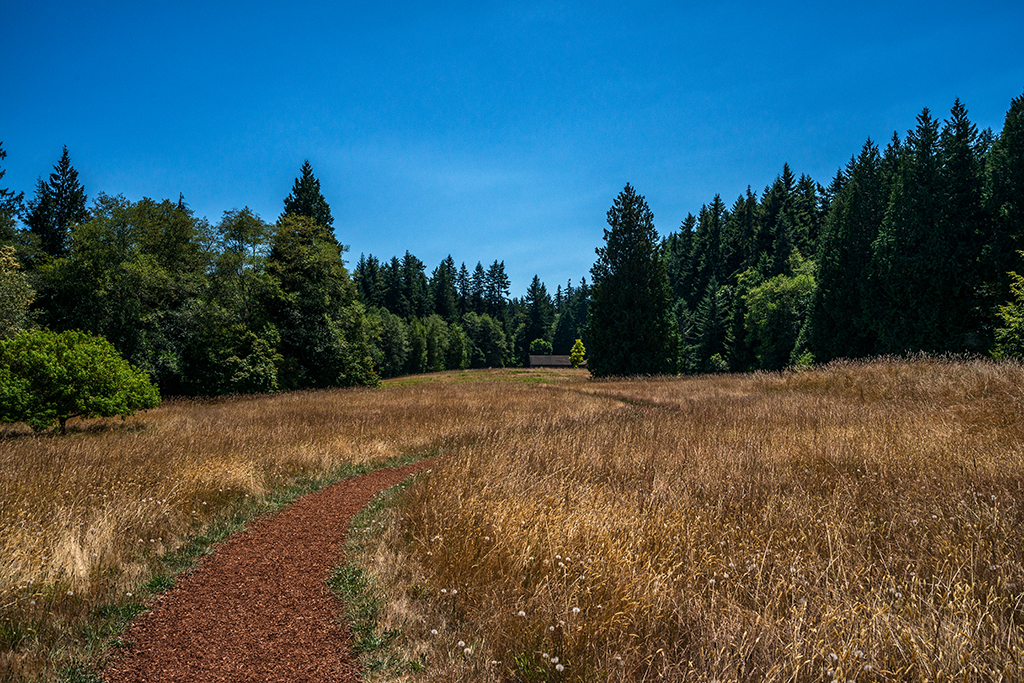 Trail at Bloedel Reserve