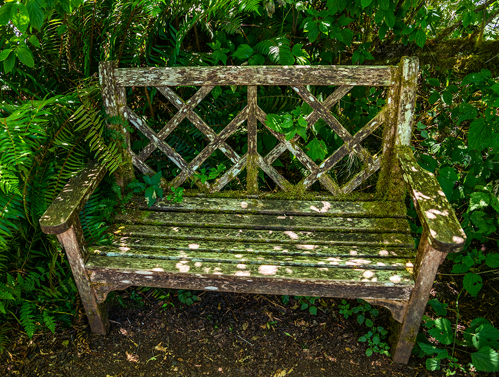 Woodland Bench