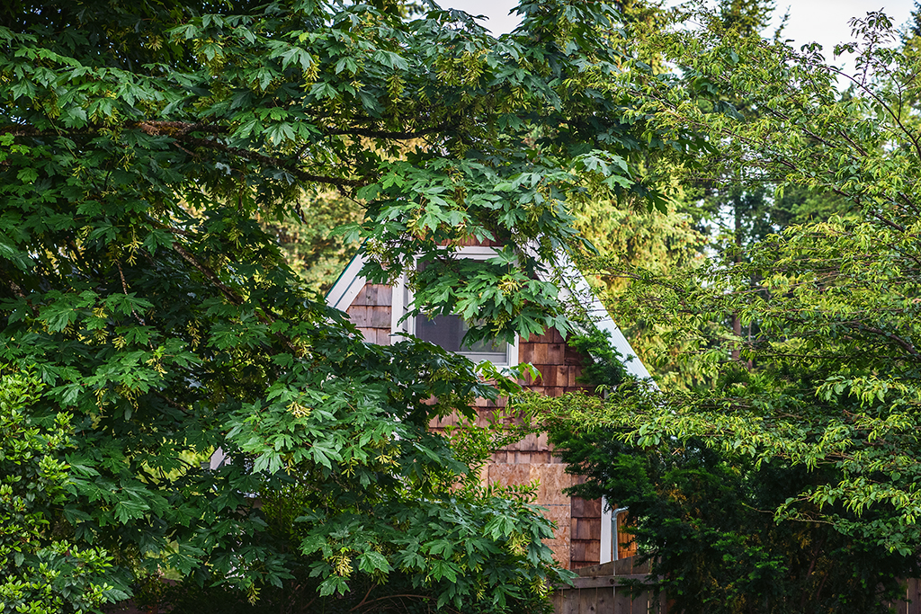 A-frame in the woods