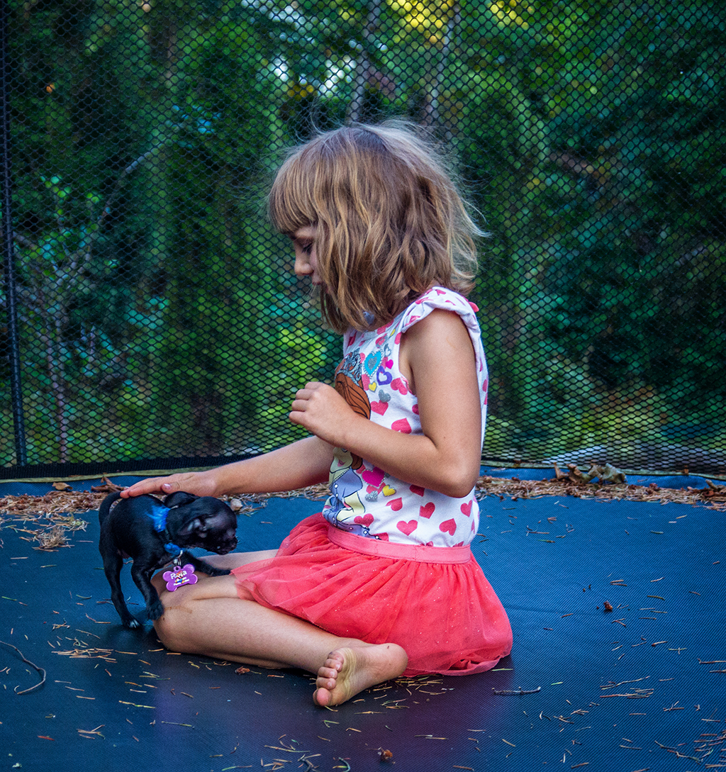 Raven & Raya on Trampoline