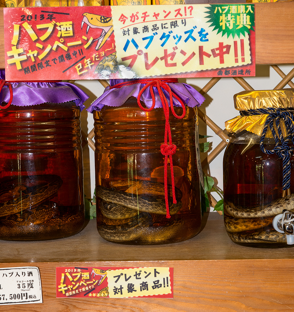 Booze in jar with snakes