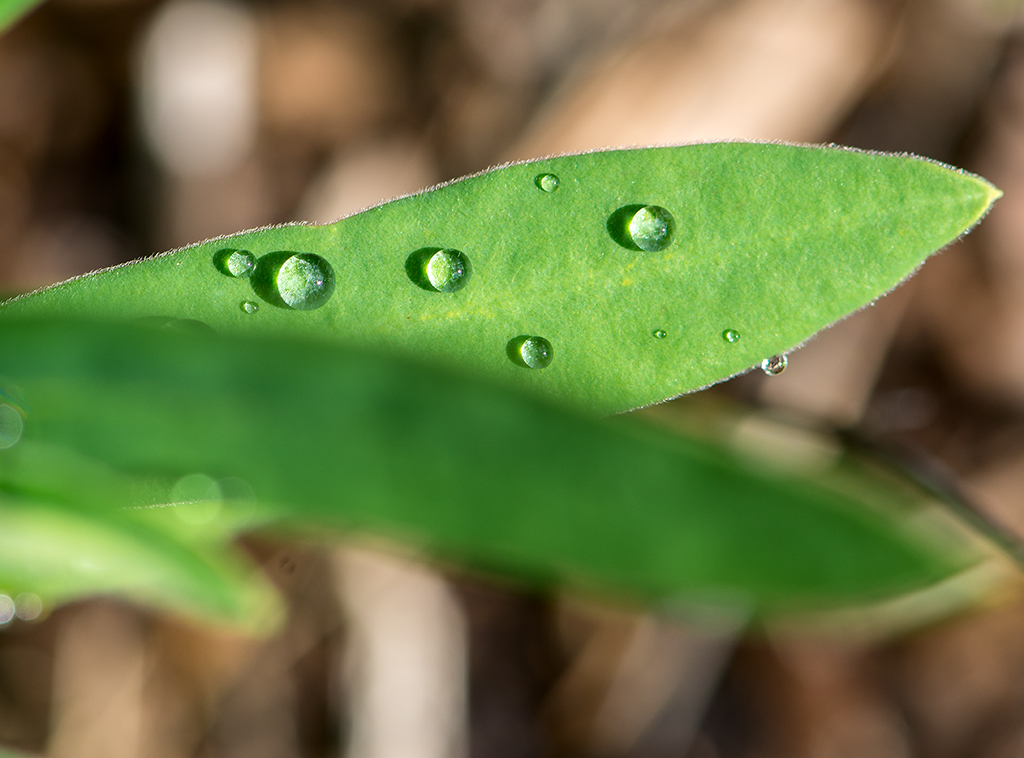 Droplets