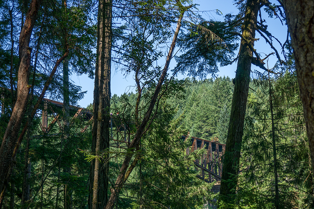 Railroad Trestle