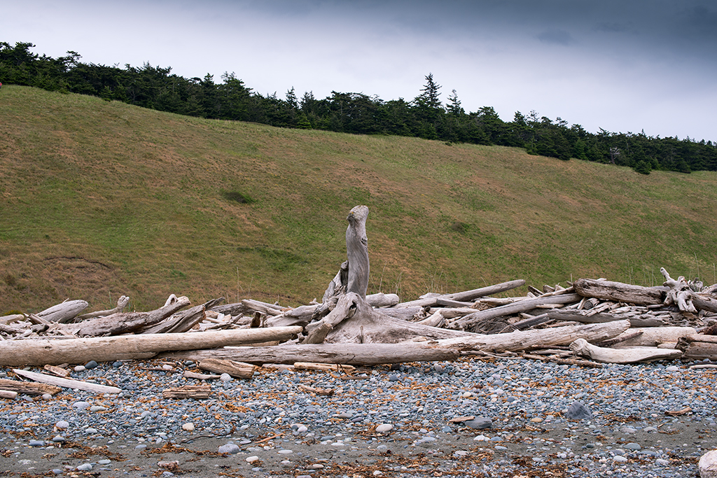 Beach with ridge in background