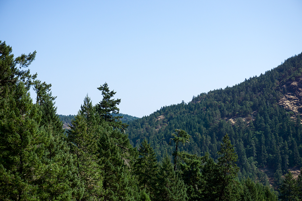 Goldstream Provincial Park