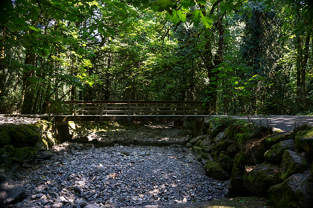 Dry Creekbed