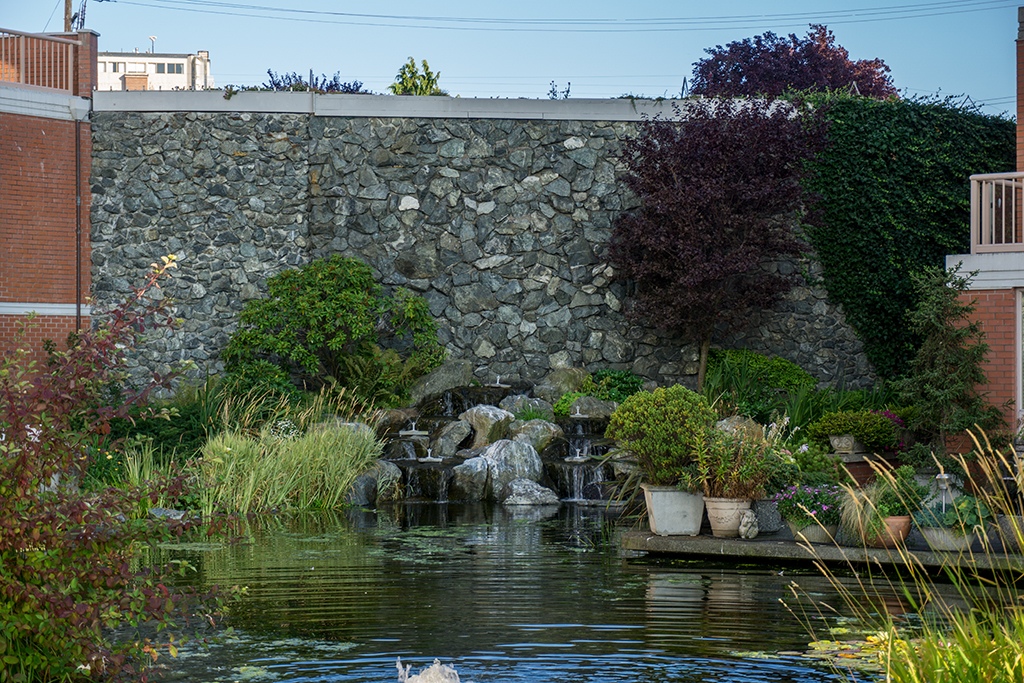 Manmade pond at Laurel Point